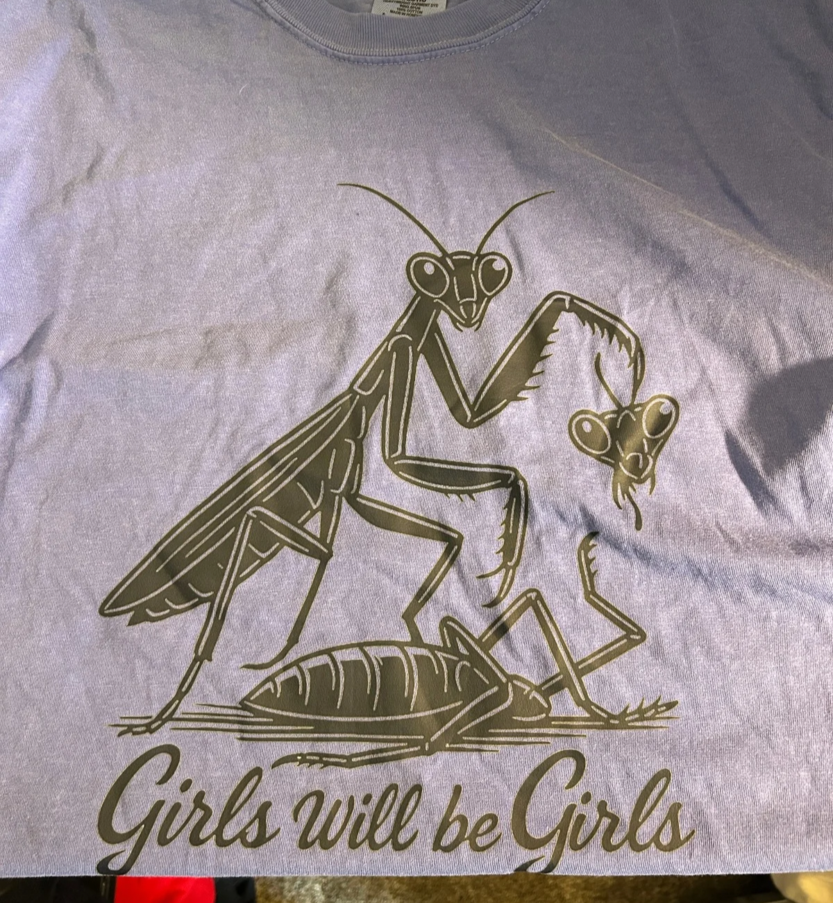 Comfort Colors® Girls Will Be Girls