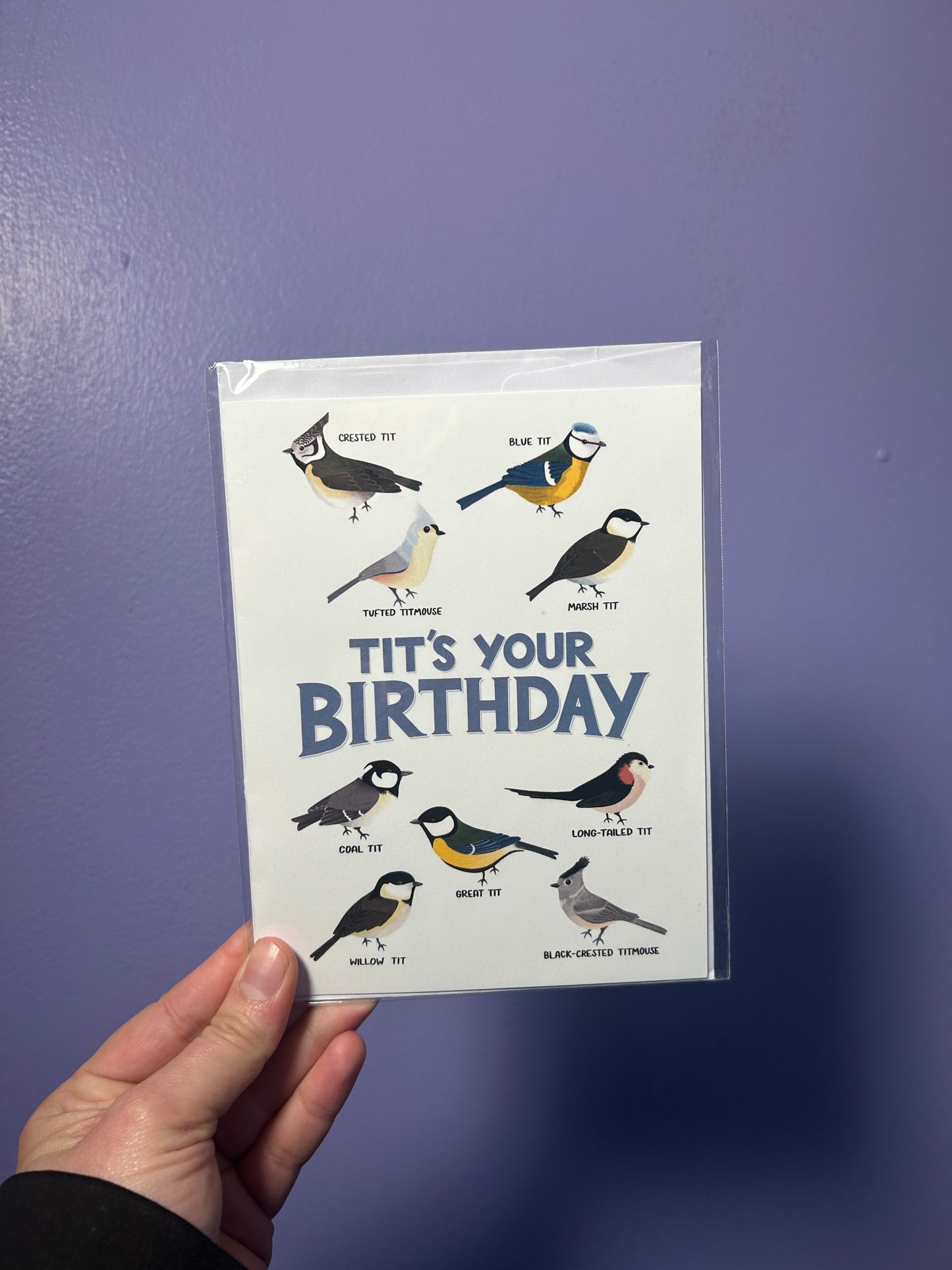 Tit’s Your Birthday