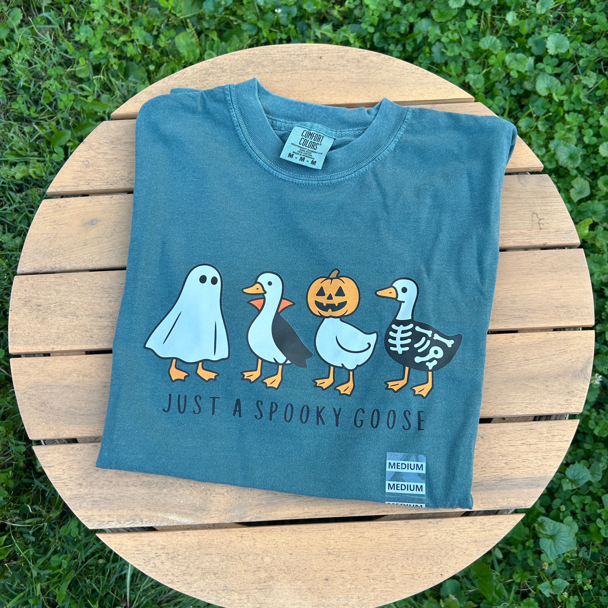Just A Spooky Goose T-Shirt