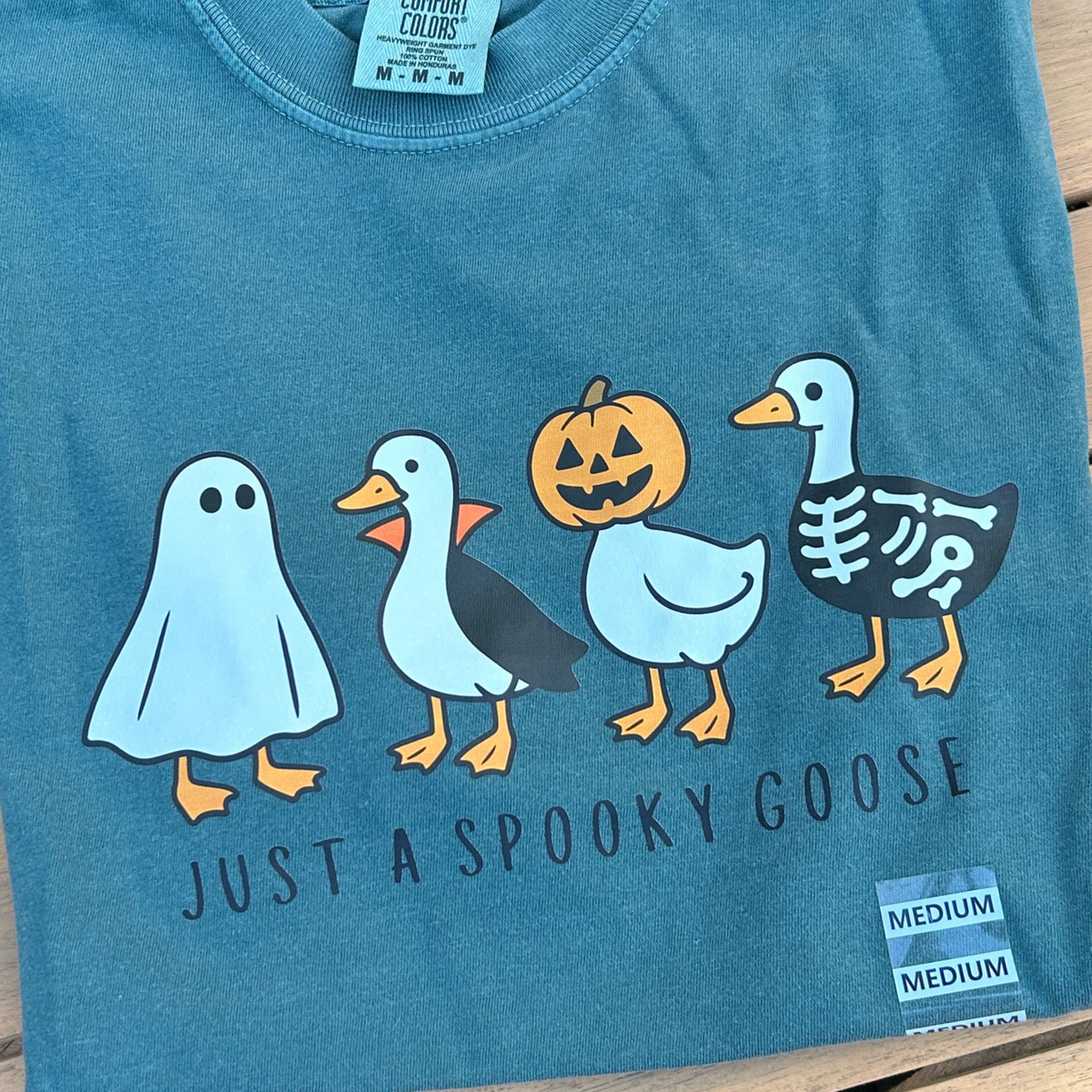 Just A Spooky Goose T-Shirt